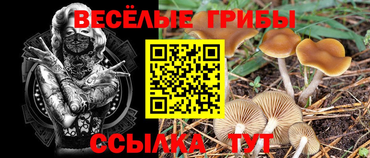 Псилоцибиновые грибы мухоморы Пенза