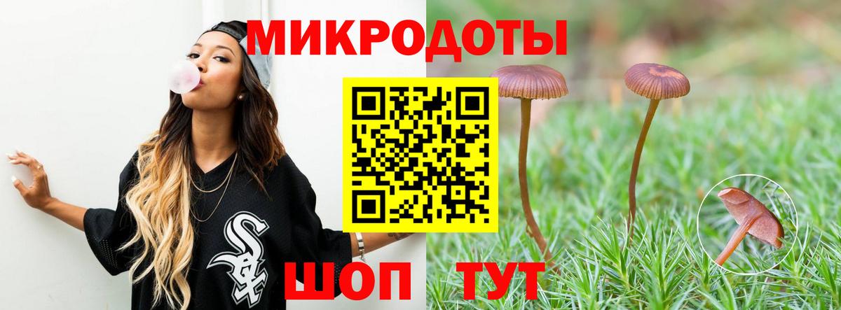 Псилоцибиновые грибы Psilocybine cubensis  Вход с VPN  Пенза  Псилоцибиновые грибы прущие грибы 